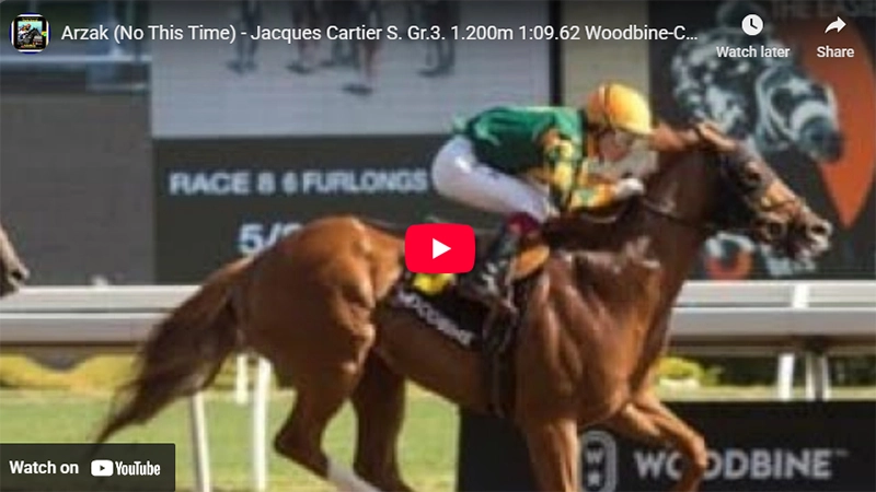 G3 Jacques Cartier Stakes