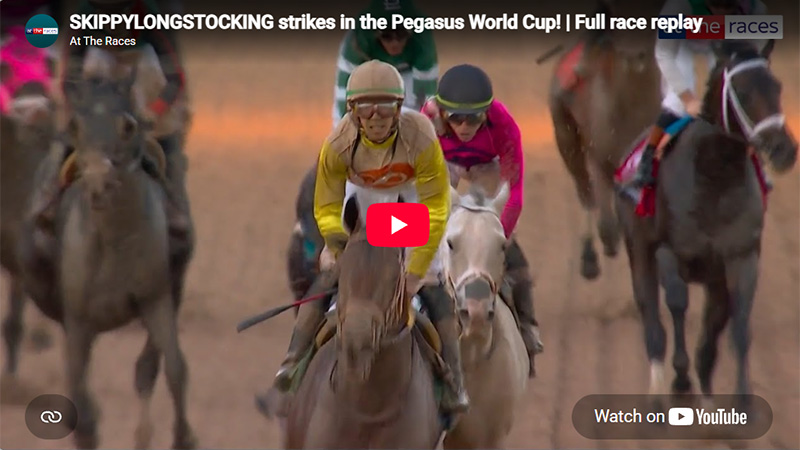 Pegasus World Cup