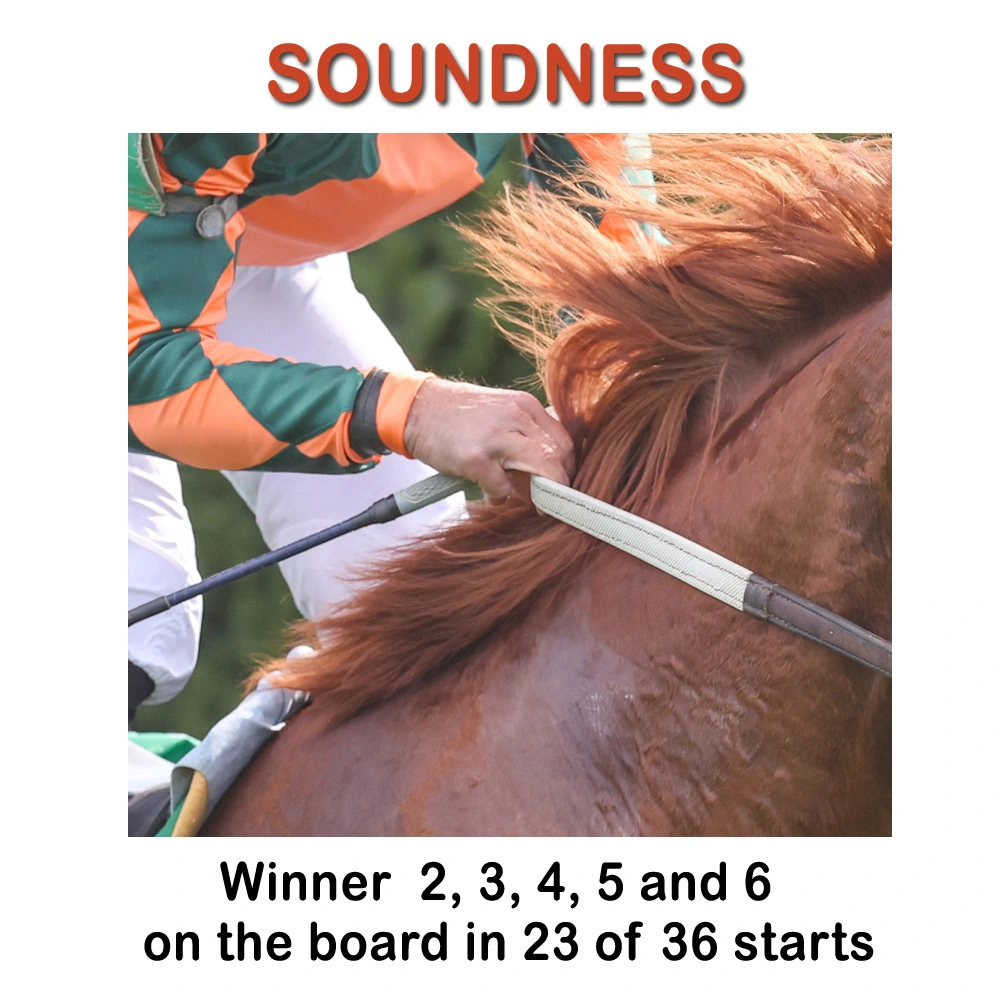 Soundness